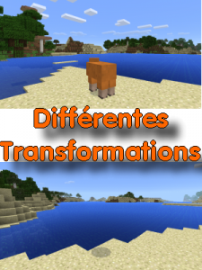 Différentes transformations